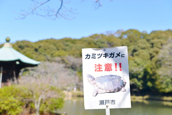 定光寺の正伝池