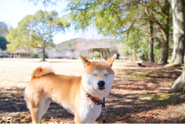 愛知県瀬戸市の定光寺公園