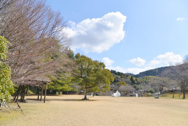 定光寺公園の芝生