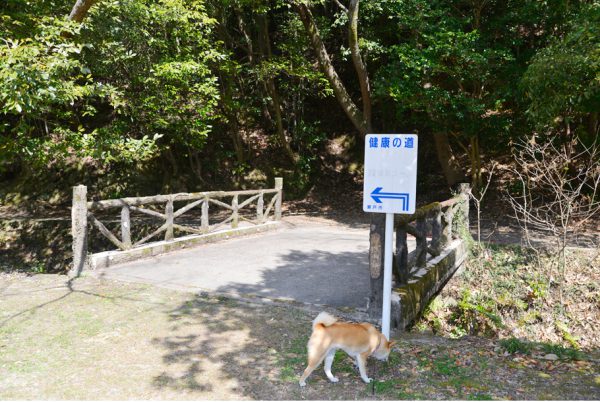 定光寺公園健康の道