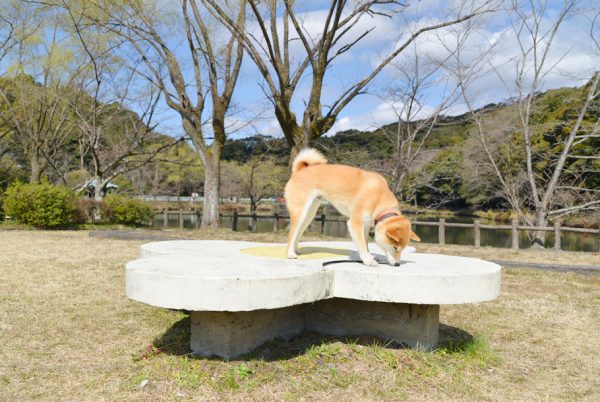 定光寺公園