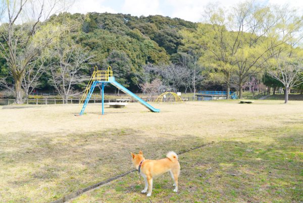 定光寺公園の遊具