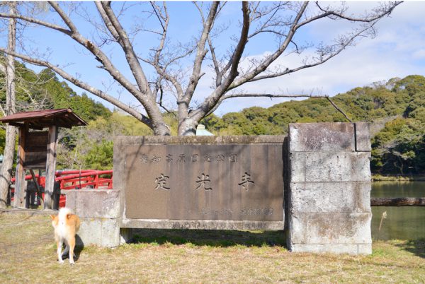 瀬戸市の定光寺公園