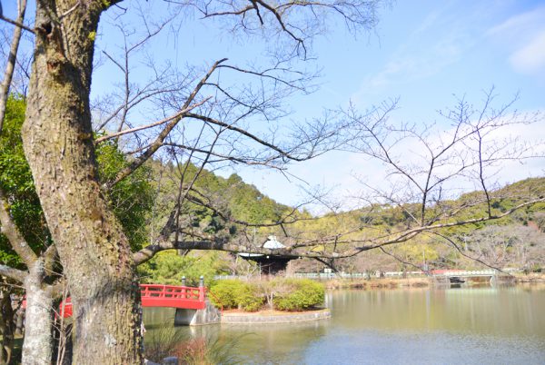 六角堂を配した正伝池