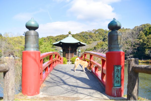 定光寺公園正伝池の弁天橋