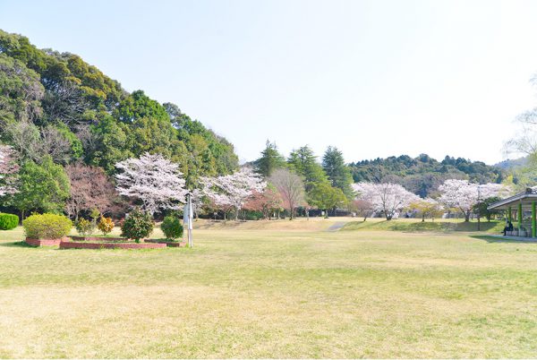 定光寺公園の桜