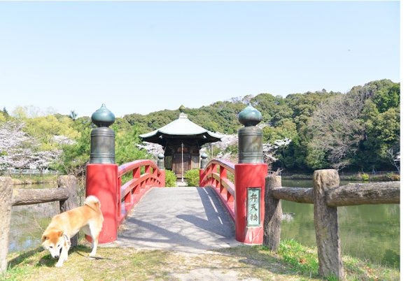 定光寺公園の弁天橋