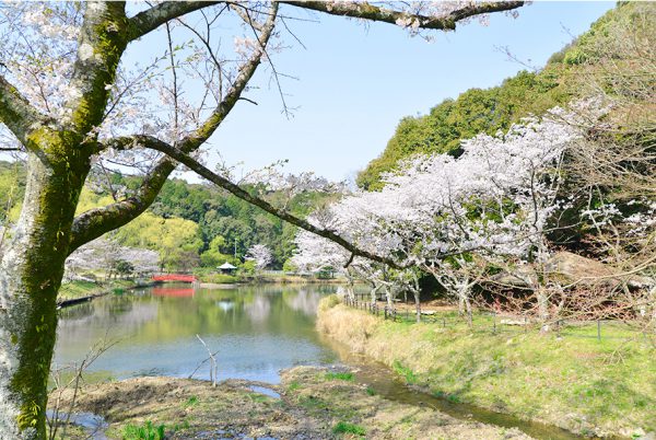 定光寺公園の正伝池