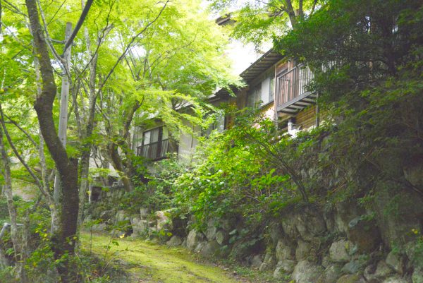 岩屋堂公園川沿い