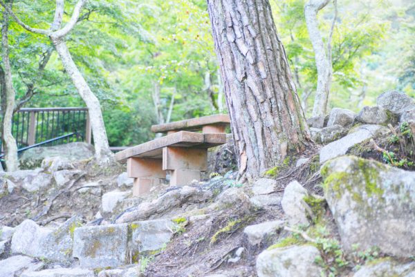 岩屋堂公園のベンチ