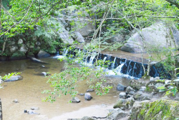 岩屋堂公園川遊び