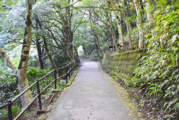 岩屋堂公園川沿いの道