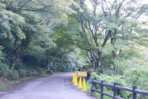 岩屋堂公園川沿い