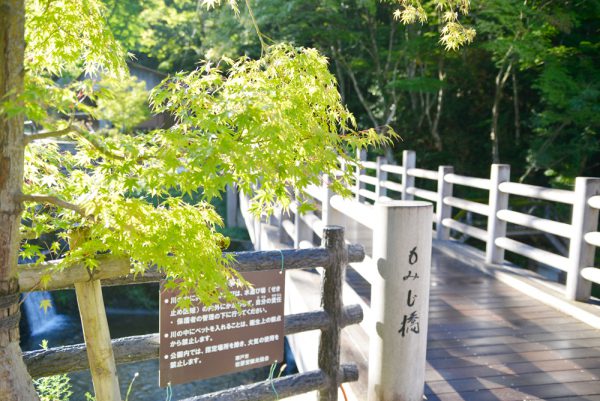 岩屋堂公園もみじ橋