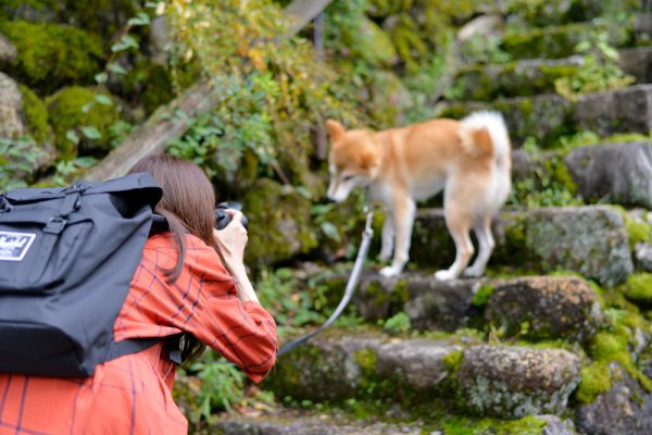 犬連れで馬籠宿