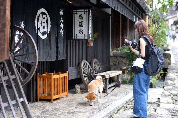 ベンチたくさん馬籠宿