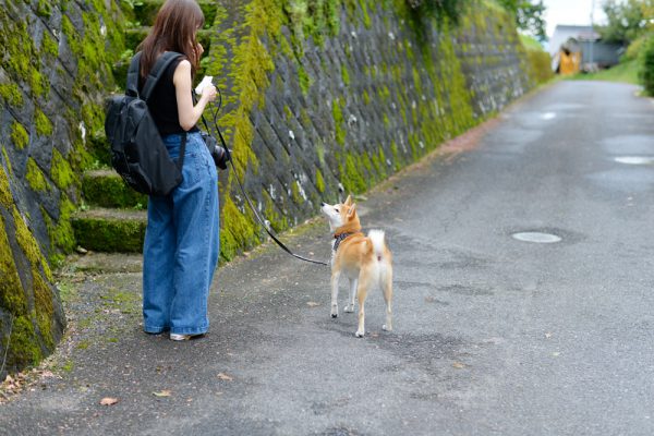 馬籠宿の路地裏