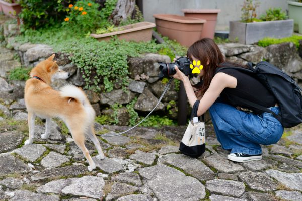 犬連れ馬籠宿記念撮影