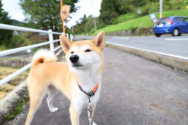 岐阜県中津川市馬籠宿