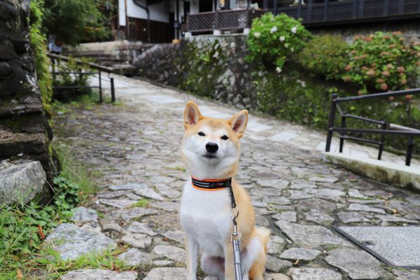 馬籠宿の石畳