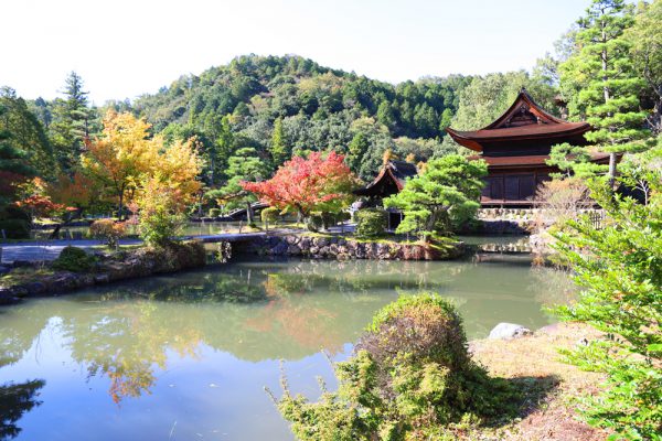 多治見市永保寺の紅葉