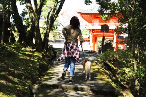 多治見市保寺院