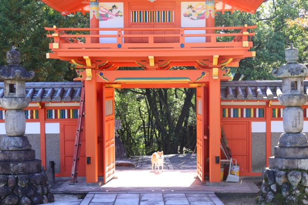 多治見市保寺院