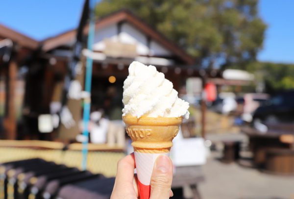 永保寺でソフトクリーム