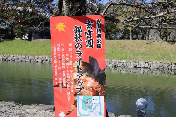 滋賀県彦根市玄宮園のライトアップ