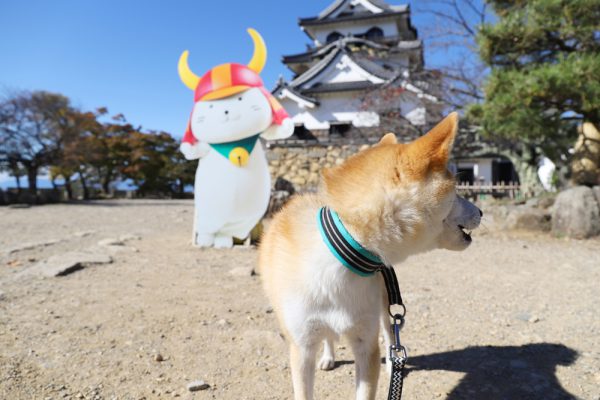 犬連れで彦根城へ