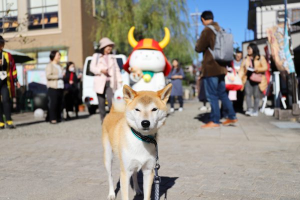 彦根城四番町スクエアのひこにゃん