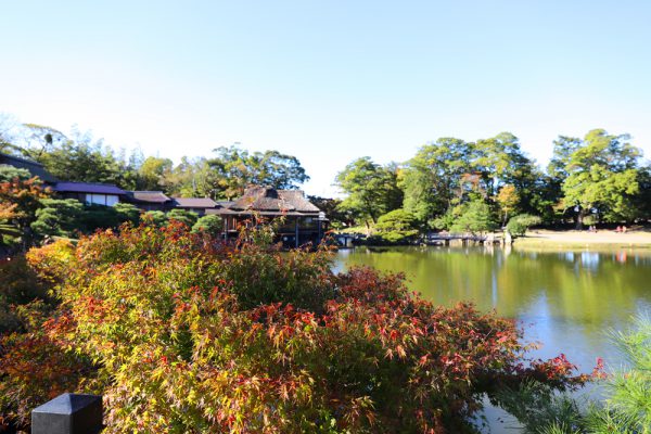 滋賀県彦根市玄宮園