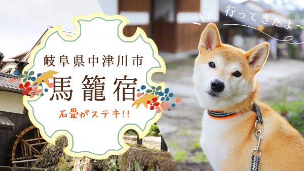 岐阜県中津川市の馬籠宿へ犬と一緒にお散歩