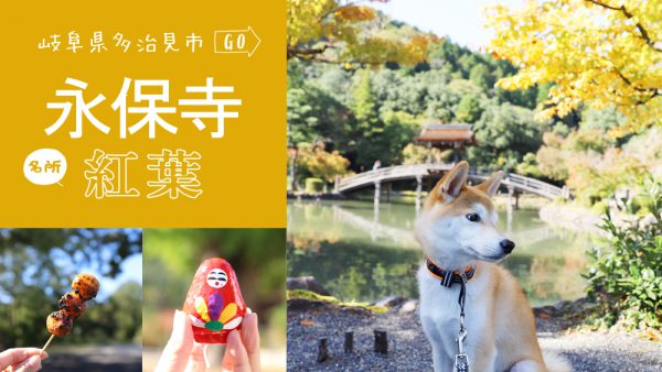 岐阜県多治見市犬と一緒にお散歩永保寺