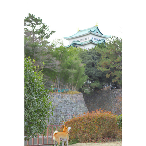 名城公園でお散歩