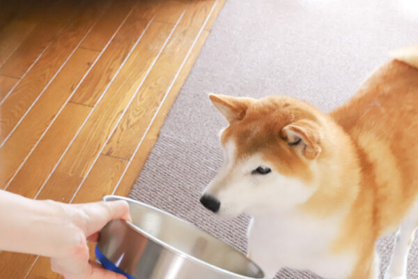 「よし」で食べます。