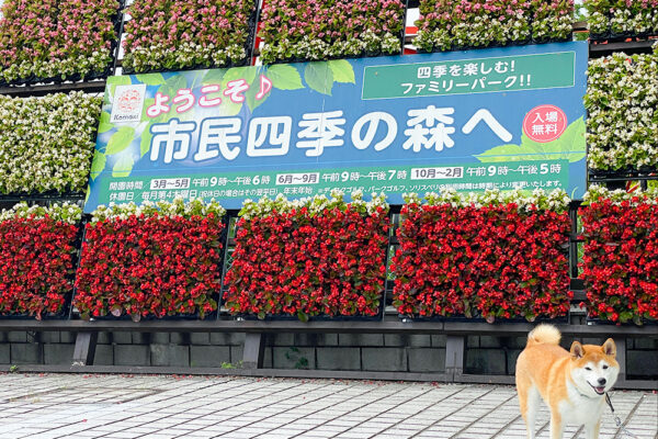 小牧市民四季の森