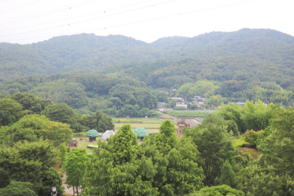 展望台からの景色