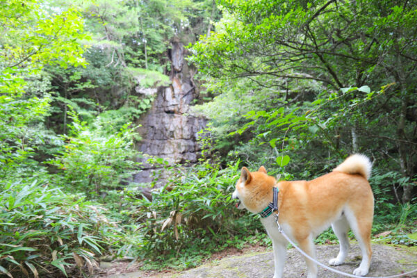 岩谷堂公園の瀬戸大滝