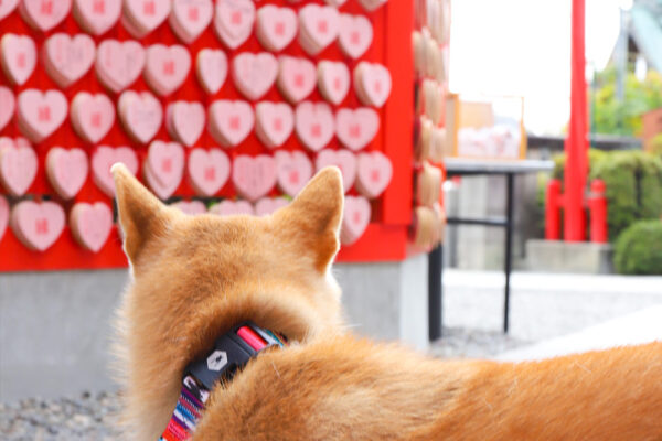 犬山三光稲荷神社