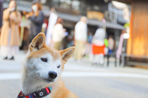 犬山城下町