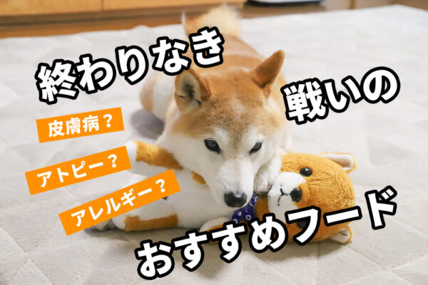 柴犬の皮膚病　おすすめドッグフード