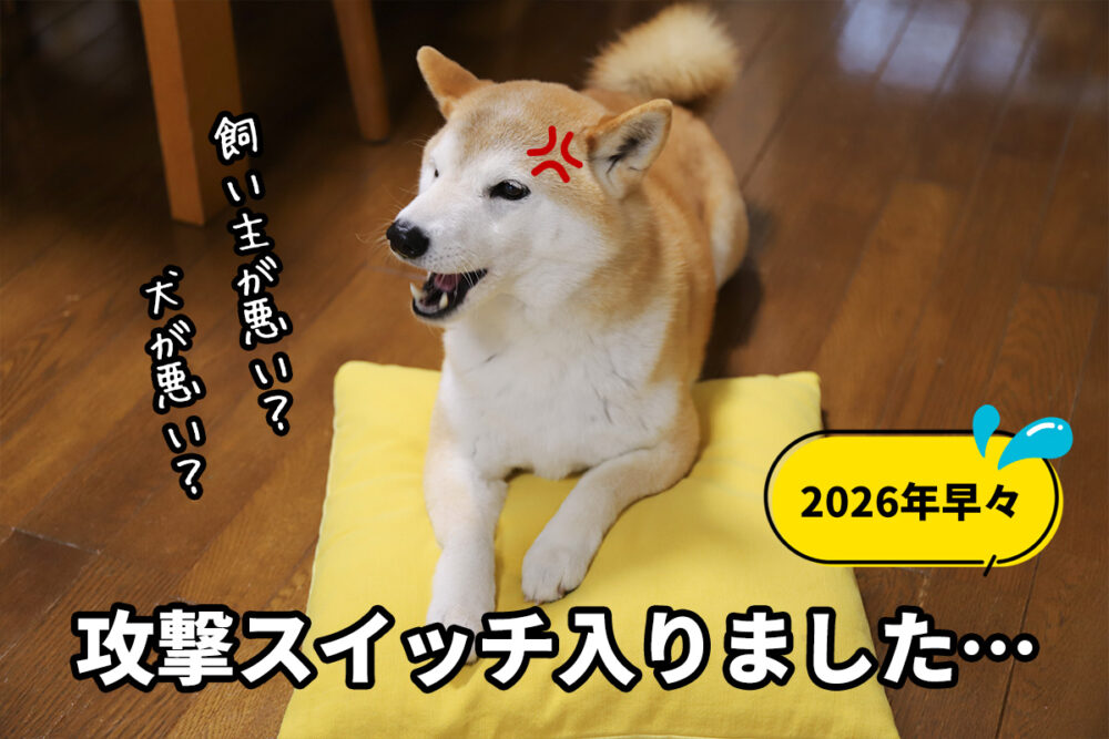 本気噛みのスイッチ入りました